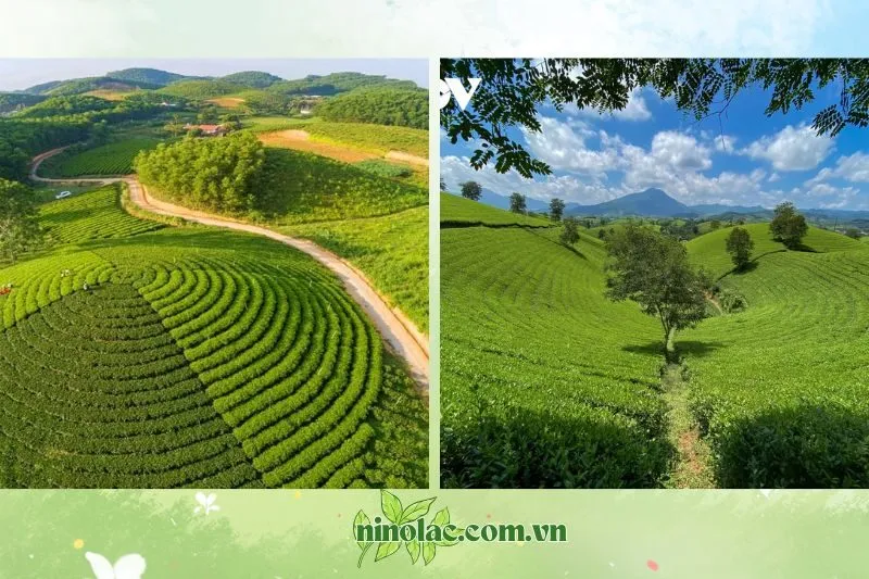 Tiềm năng du lịch tại Đồng Hỷ Thái Nguyên