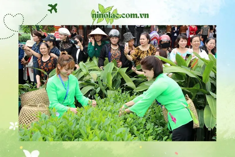 Ý nghĩa văn hóa của lễ hội